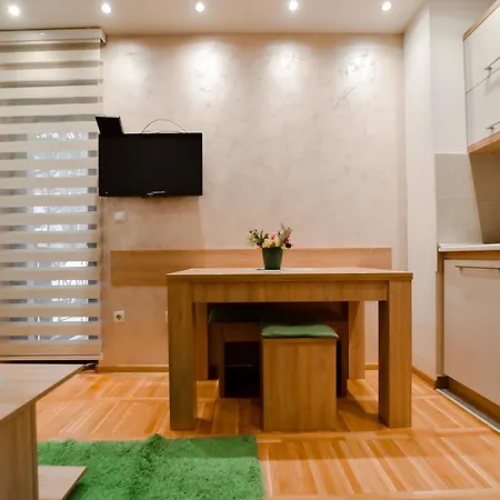 Vojin Apartment *