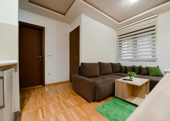 Vojin * 즐라티보