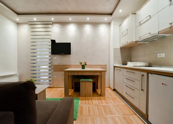 아파트 Vojin 즐라티보